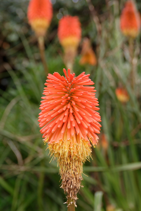 IMG_7535_DxO_raw