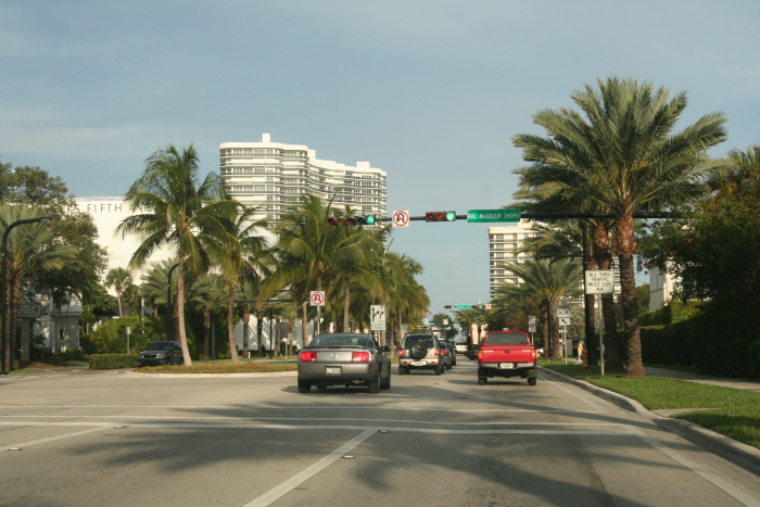IMG_7994_Floride