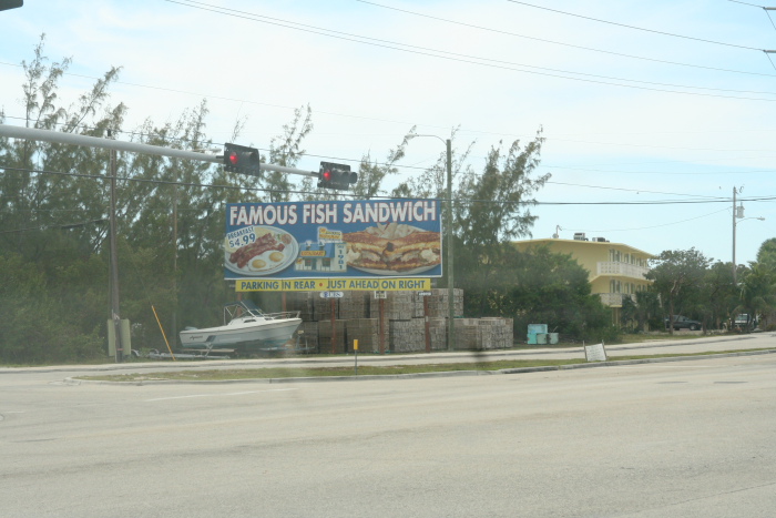 IMG_8012_Floride