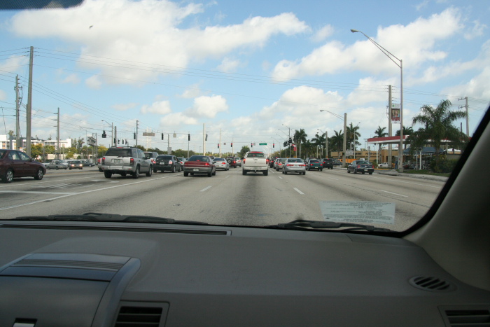 IMG_8109_Floride