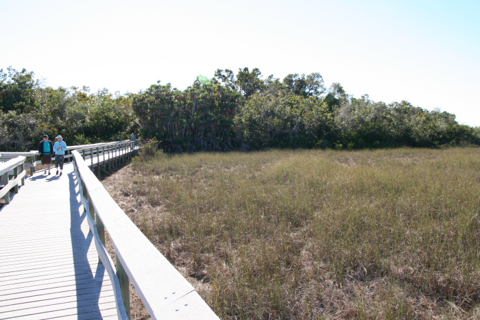IMG_8316_Floride