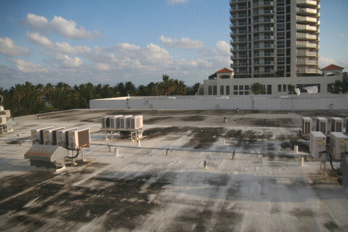 IMG_8375_Floride